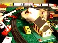 Attack of the Guinea Pig!