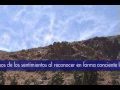 Seminario Noosférico - Campo Mental Noosférico