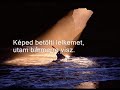Nem láthat bár földi szem