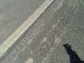 pasada de dos harriers sobre el recinto ferial