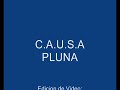 Junker Ju-52 CAUSA y Vickers PLUNA