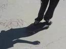 Truquillos de skate.