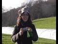 Petite marche � Crupet avec Loan et Lyse