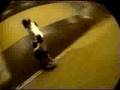 Mike Frazier´s Skateboarder Pro Tricks