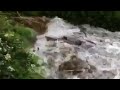 dneska neberou (Pludnik) - Známka: 1, váha: velká