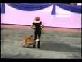 Golden Retriever Dancing With Lady Owner