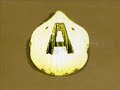 Mashup / bootleg Colonel Abrahams Vs Altern8