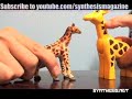 Giraffes are Kosher? Manchild Drink Beer Investigates