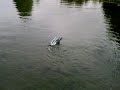 Radio control Challenger rc boat