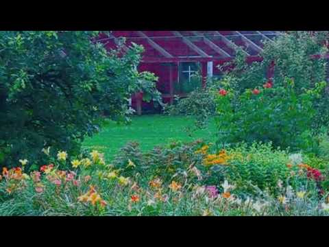 Beekman Barn & Flowers in the Rain