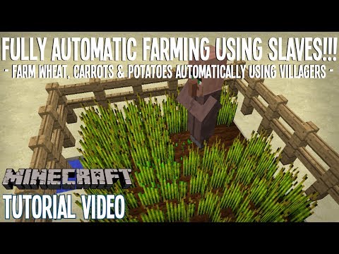 how to replant potatoes in minecraft