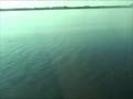 videos de How to fly a seaplane - water landing, step taxi and docking