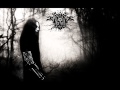 IMMORTAL SETH - The Beginning of the End (2013)