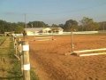 My Autism Horse -- More Progress In The Founder Recovery