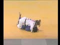 Judo Tre Torri 2008 - ESPINOZA - KATZLER Judo Tre Torri 2008 - ESPINOZA - KATZLER