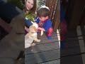 Mason and the Pups