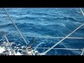 Topless Sailing in Corfu in 25knts of wind - YouTube
