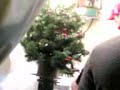 moving bonsai.