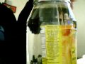 Tradgedy bong bubbler buckets homemade bong
