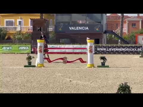 SUNDANCE PRINSEVELD - 1M40 - MET OLIVA - FEBRUARY 2026