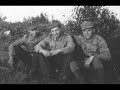 tribute to our brave finnish soldiers