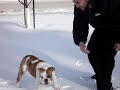 DuvaL in snow