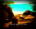 Betsson Monkey Coconuts