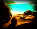 Betsson Monkey Coconuts