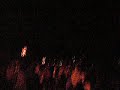 Feu D\ Feu D\