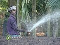 Coir pith composting : A feature story Coir pith composting : A feature story