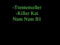 trentemoller - killer kat trentemoller - killer kat