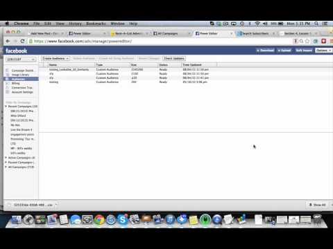editor - Facebook Power Editor Custom Audiences - How to Create Them.