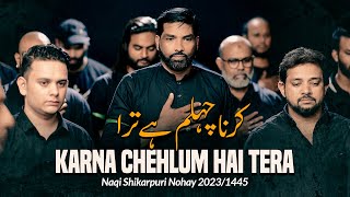 ARBAEEN NOHA 2023  Karna Chehlum Hai Tera  Naqi Sh