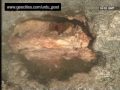 کچھ دن تو بسو ميري آنکھوں ميں  -  Obaidullah Aleem