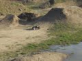 RC Car take a big Jump