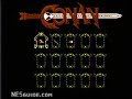www.nesguide.com