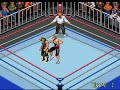 Reversals Into Crazy Double German Suplexes With Bridge Pin