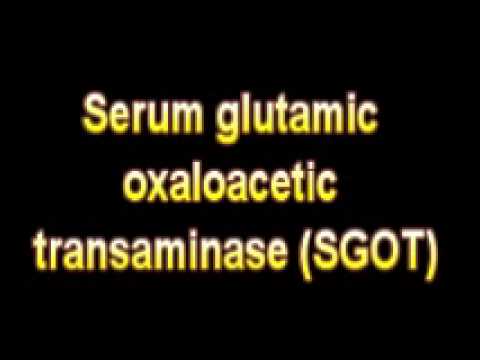 how to perform sgot test