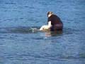 Touchstone Learning to Swim #3