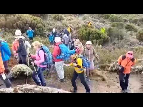 Kilimanjaro Trekking