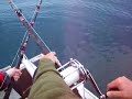 Halibut Peeling line, Smoking Reel