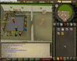 5pirit 99 Strength With Zezima!