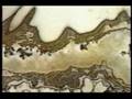 videos de RayMondFinal2.wmv