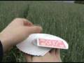 FunWithAces Group - NF Fan Spin Tutorial