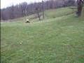 more 4wheelin