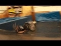 Double Backflip By Aaron Fotheringham Wheelchair