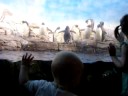 Penguins