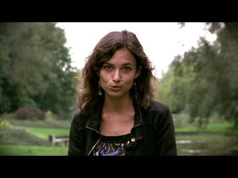 Kliknij aby zobaczyć materiał wideo...
