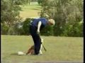 Obedience Training with Gary Jackson Part 3 Obedience Training with Gary Jackson Part 3