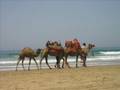 chavalitas en asilah